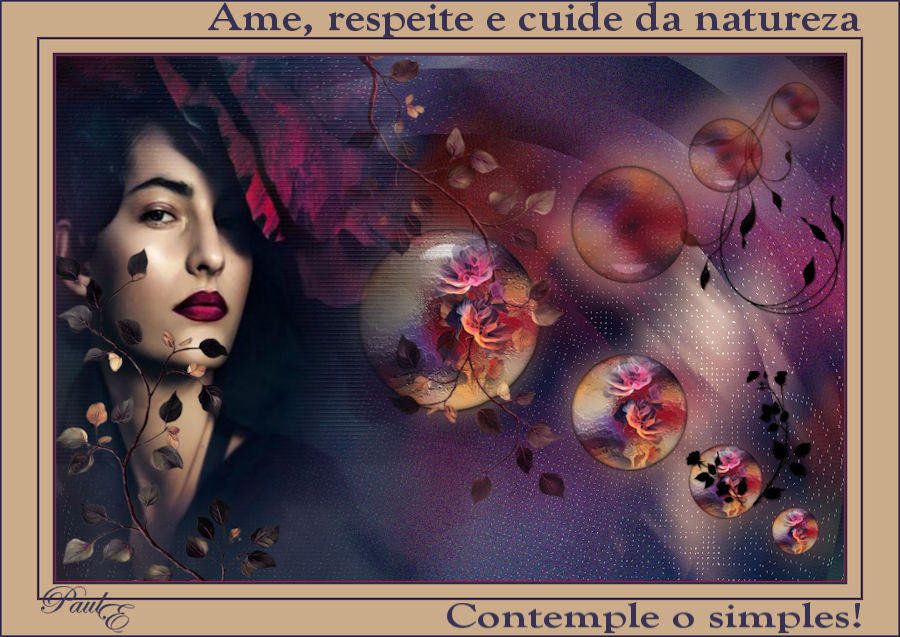 paulE